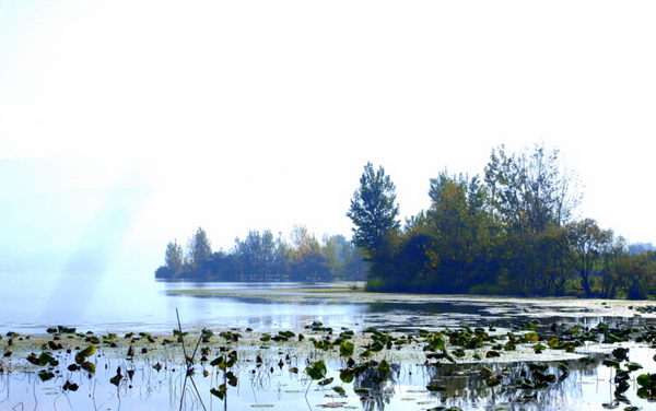 邛海湿地 (2).jpg