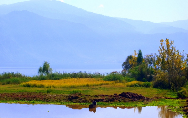 邛海湿地 (68).jpg