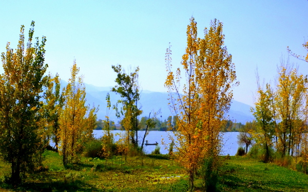 邛海湿地 (72).jpg