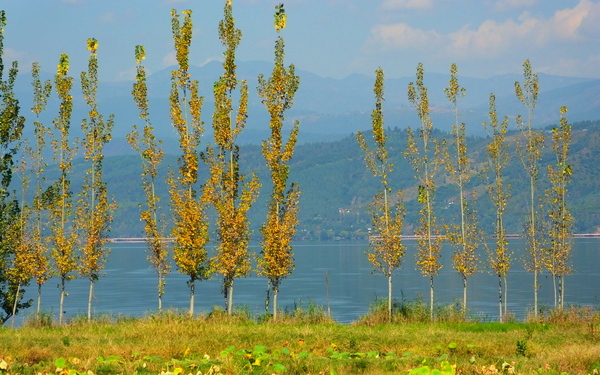 邛海湿地 (108).jpg