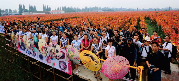 村旅游发展、乡村旅游景区、乡村观光旅游