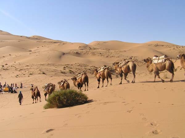 [原创]穿越最美丽的沙漠------巴丹吉林沙漠