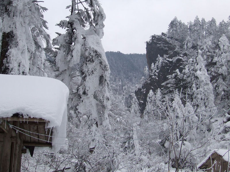 今天才从西岭雪山下来