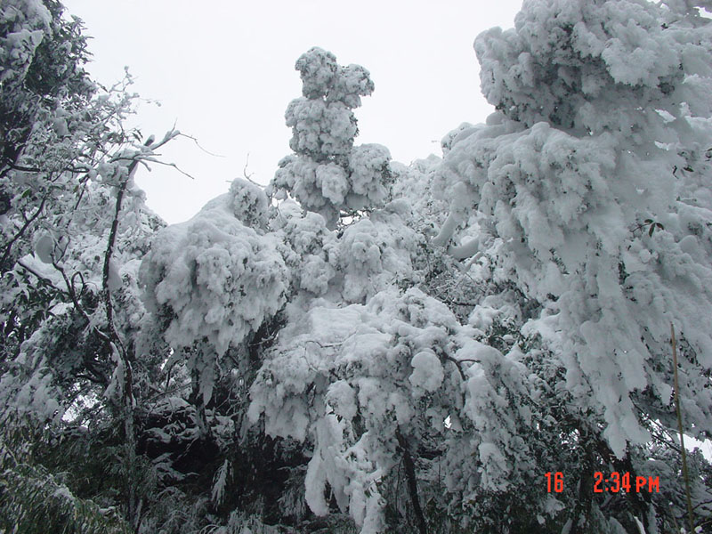 今天才从西岭雪山下来