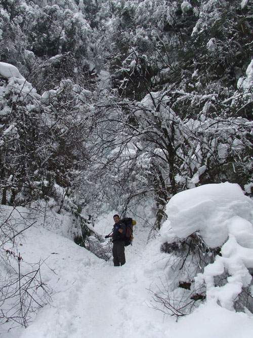 今天才从西岭雪山下来