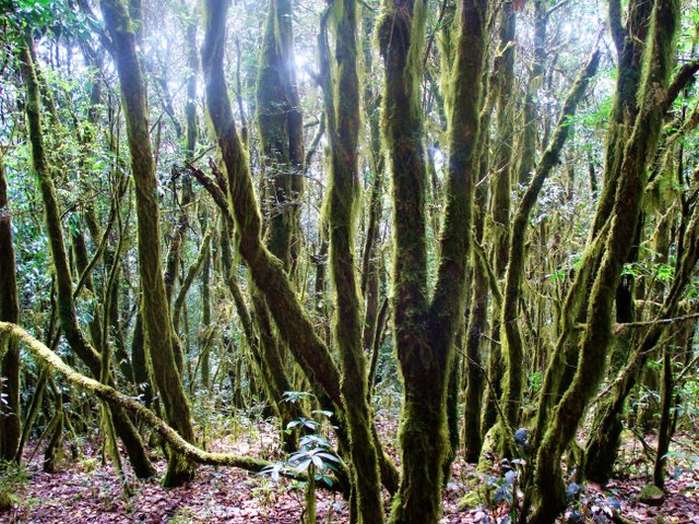 会理县小黑箐乡大黑山风光。