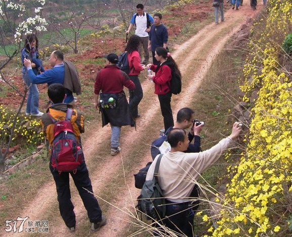 Y总拍花花.jpg