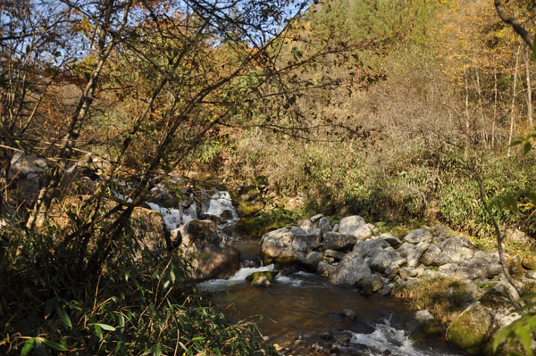 红叶远去，溪水潺流.jpg