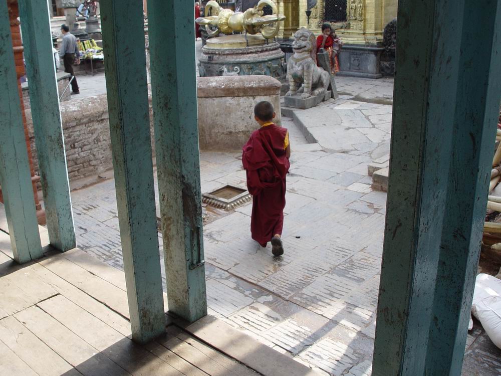 斯瓦扬布纳特寺中的藏族小沙弥