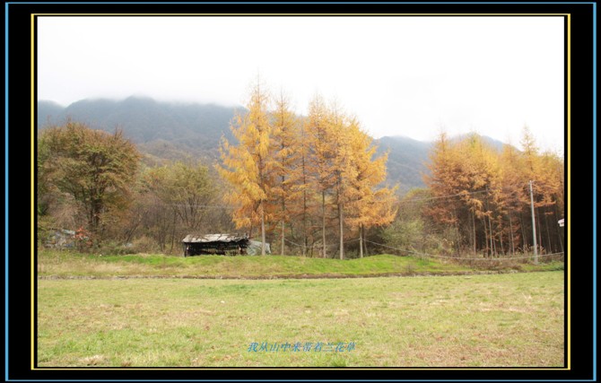 米仓山自然保护区
