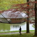 悬浮树屋