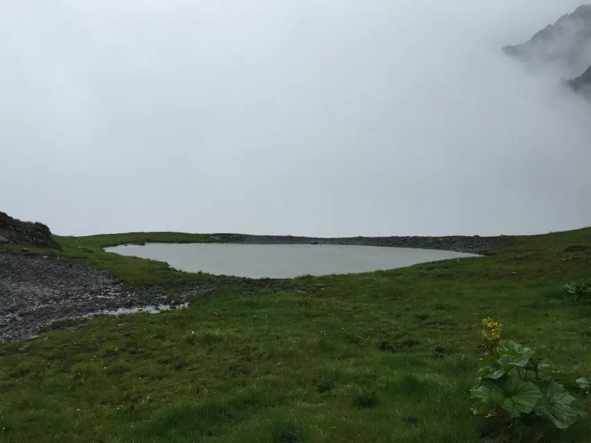 雨夹雪里唯一一张片片