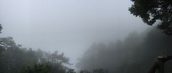 天子山4.jpg