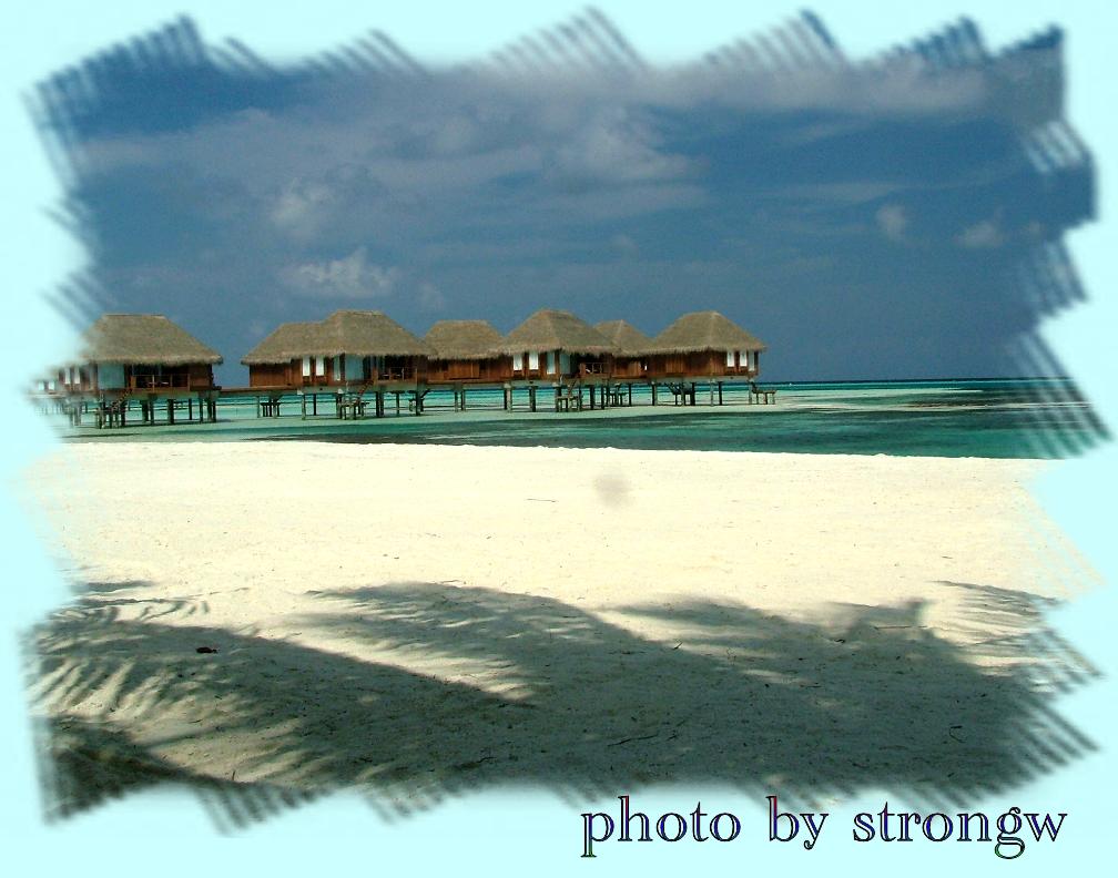 闲来无事发的图片几张去年maldives