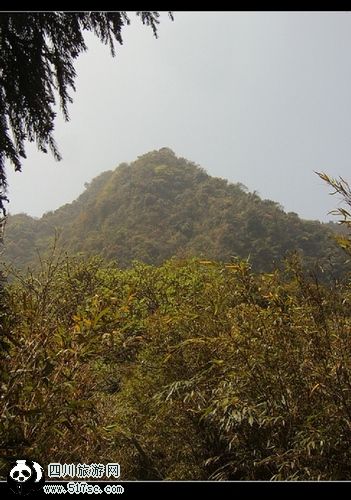 [原创]拥有一双翅膀飞越老君山