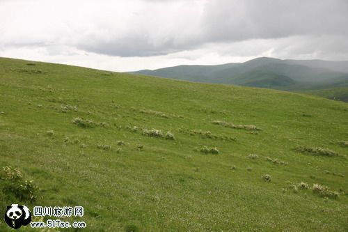 心中的草原