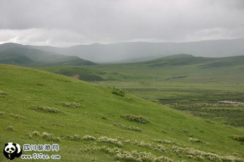 心中的草原