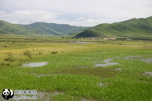 心中的草原