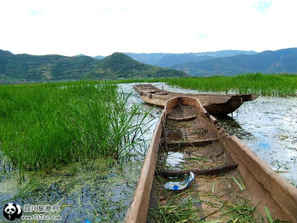 求助：四川泸沽湖旅游