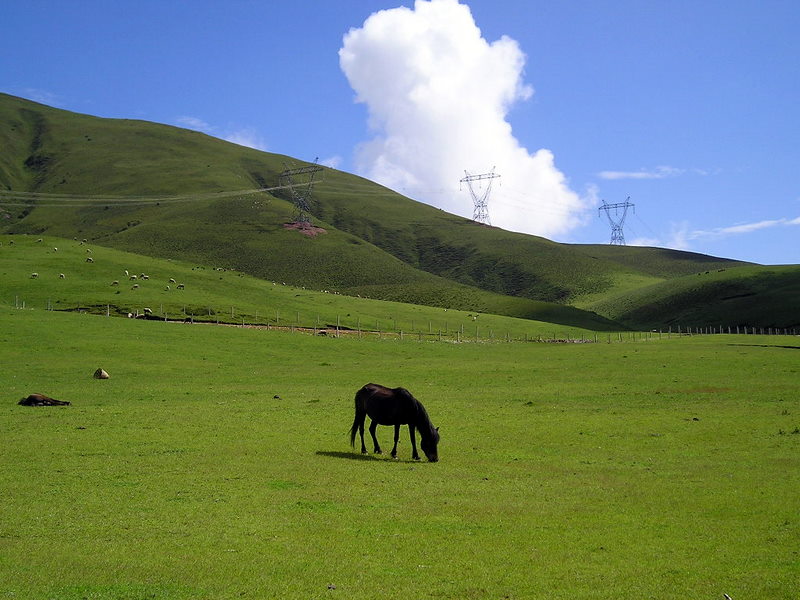 螺髻山高原牧场