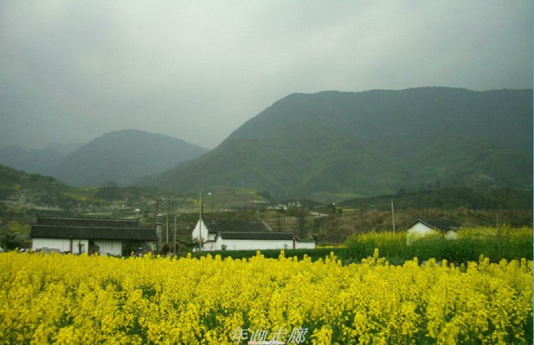 遵道看山---绵竹年画、梨花尽收眼底