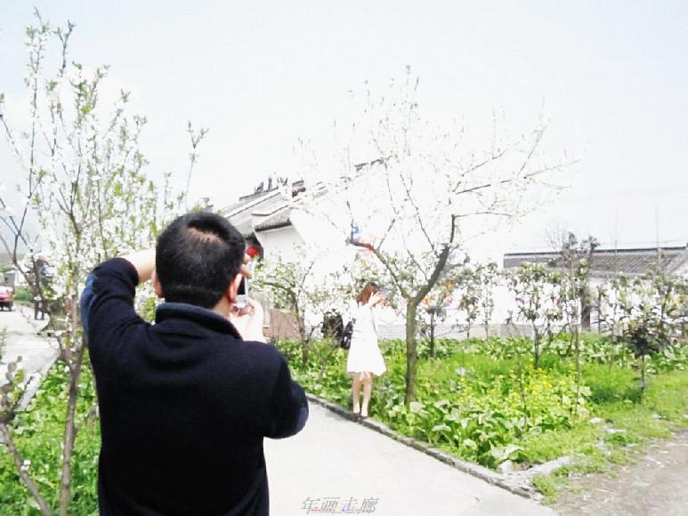 遵道看山---绵竹年画、梨花尽收眼底