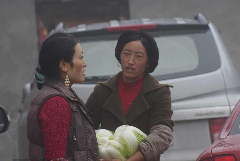 向导家的当家女人.jpg