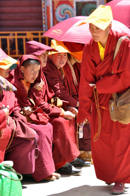 大喇嘛给小喇嘛发藏民捐的钱