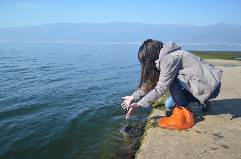 2月14日一早，我放生了一条鱼儿回洱海，现在的它还好吗？是否还记得我双手的温度？ ...